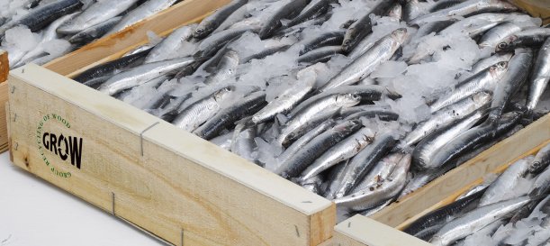 Tendencias del envase de madera para alimentos