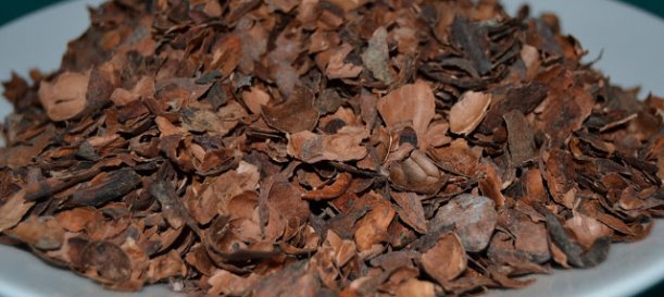 Crean envases hechos de cáscaras de cacao