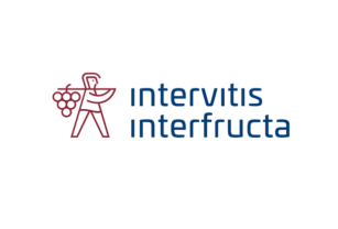 Intervitis Interfructa