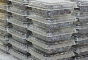 Desarrollan envase biodegradable para arándanos