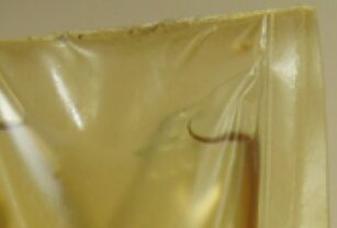Materiales biodegradables pueden sustituir al plástico