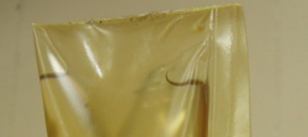 Materiales biodegradables pueden sustituir al plástico