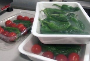 Materiales biopolímeros para el desarrollo de envases de alimentos