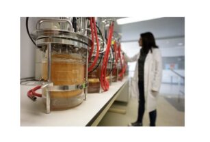 Investigadora-en-entro-tecnologico