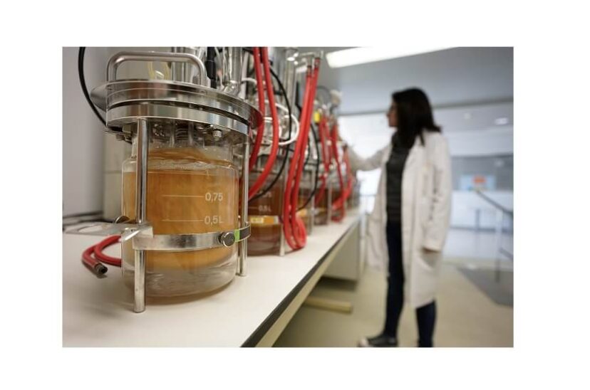 Investigadora-en-entro-tecnologico