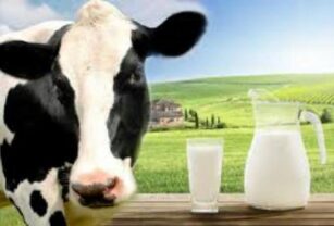 Leche de vaca