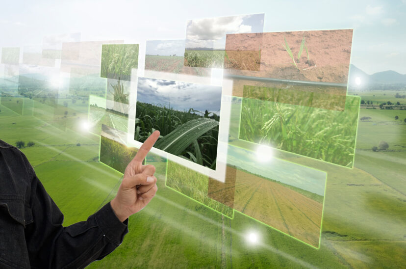 Agricultura inteligente