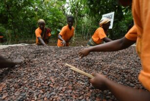 Pequeños productores de café