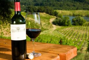 Vino ecológico