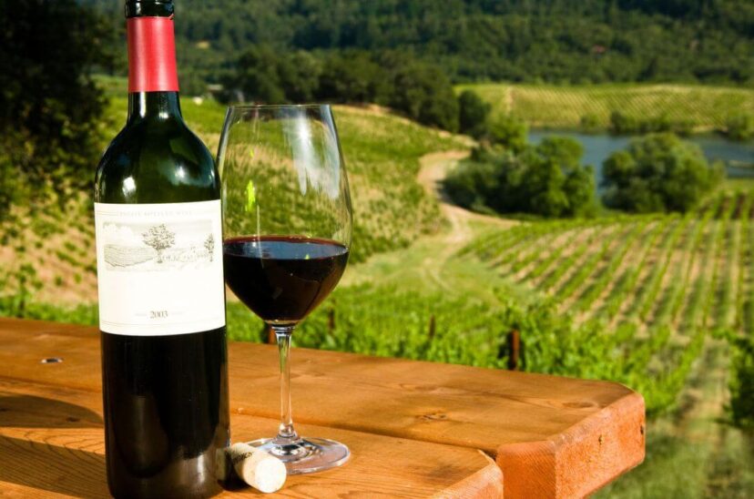 Vino ecológico