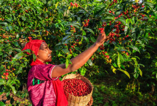Mujer agricultura