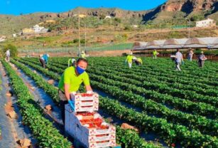 Agricultores