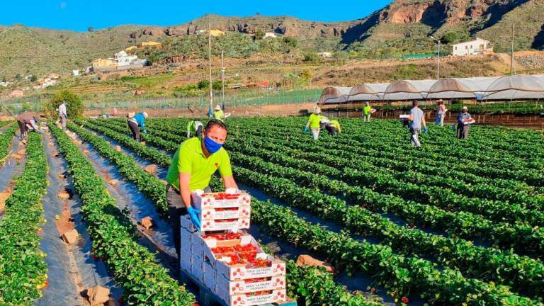 Agricultores