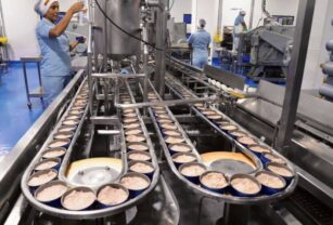 Alimentos enlatados