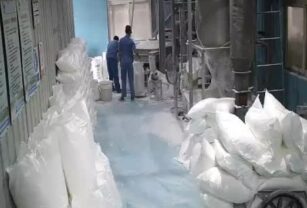 Glucono delta lactona: adificación rápida para cárnicos