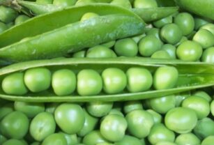 Leguminosas: salud, nutrición e innovación alimentaria