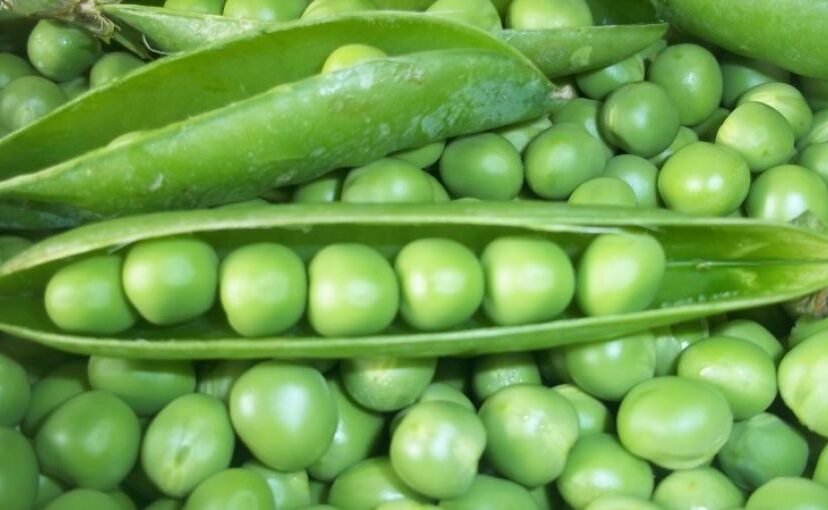 Leguminosas: salud, nutrición e innovación alimentaria