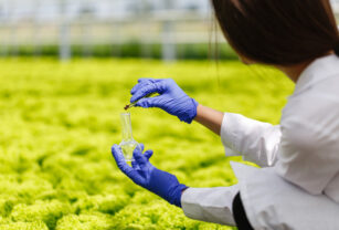 La biotecnología se aplica en la producción de la cerveza, el vino y los quesos, pero también permite la creación de alimentos especializados.