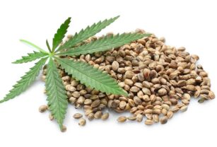 cannabis-tendencia-consumo