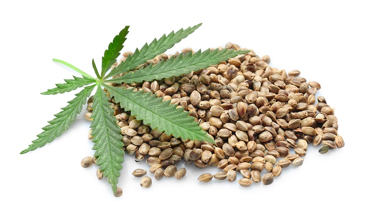 cannabis-tendencia-consumo