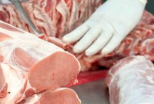 ¿Cómo saber si un Plan HACCP es efectivo?