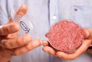 Carne cultivada en laboratorio