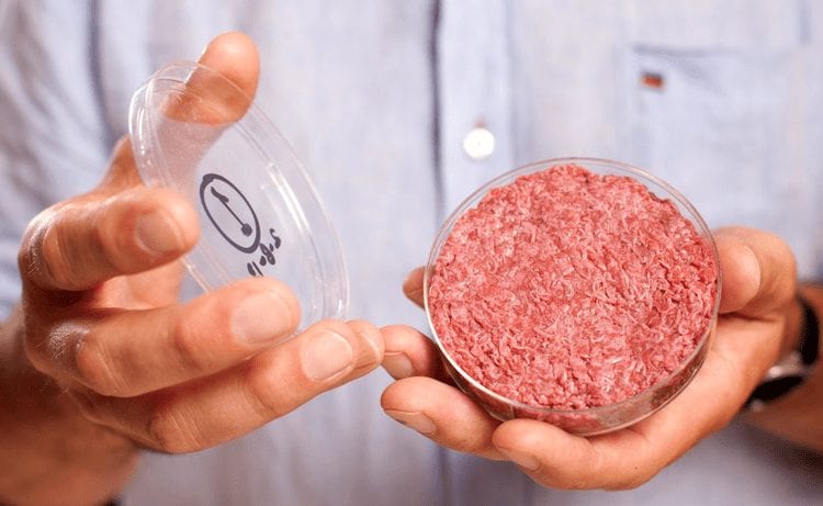 Carne cultivada en laboratorio
