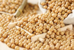 Proteína del chícharo amarillo