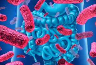 El equipo perfecto para mantener saludable la flora intestinal