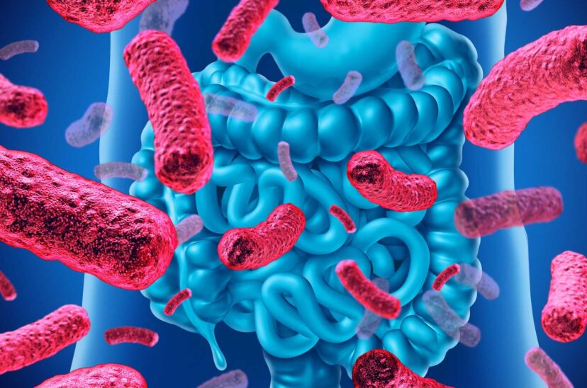 El equipo perfecto para mantener saludable la flora intestinal