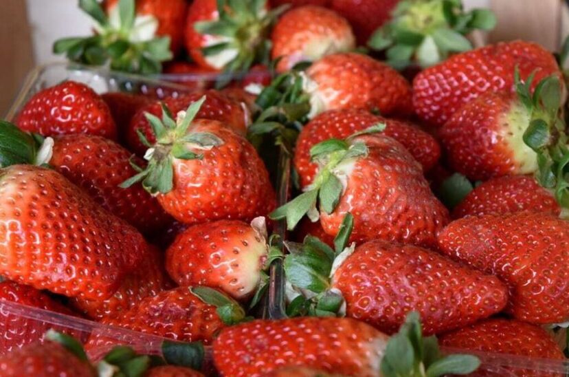 El consumo de antioxidantes en la industria