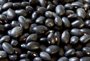 Comprueban alta calidad de la proteína del frijol negro