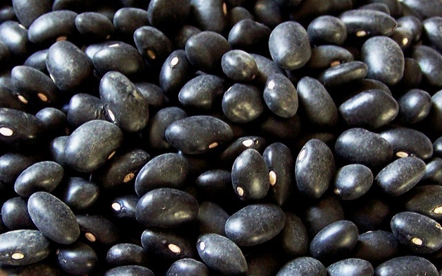 Comprueban alta calidad de la proteína del frijol negro
