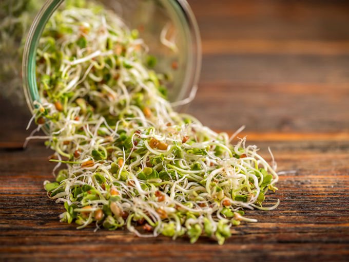 Germinados: ganando en el terreno de los snacks verdes