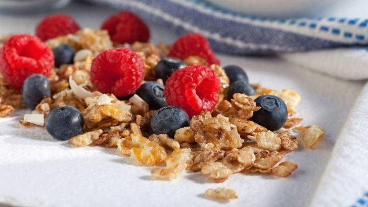 Prebióticos y alimentos