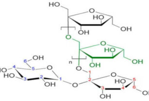 Inulina: una fibra soluble como sustituto de grasa
