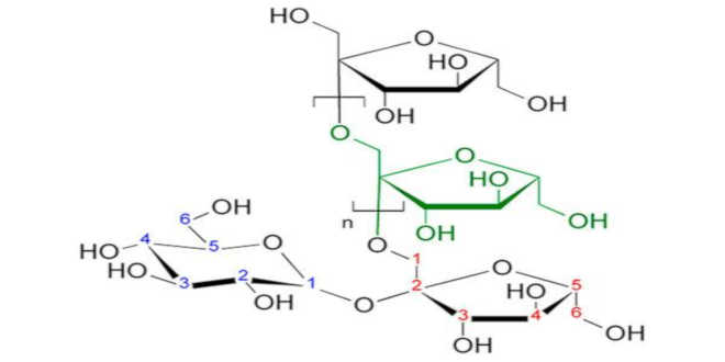Inulina: una fibra soluble como sustituto de grasa