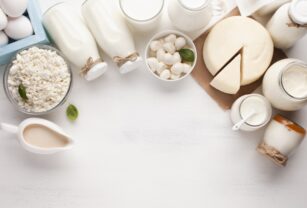 La leche y sus derivados son los alimentos con  mayor concentración de calcio, por lo que son un aliado para fortalecer el sistema óseo.