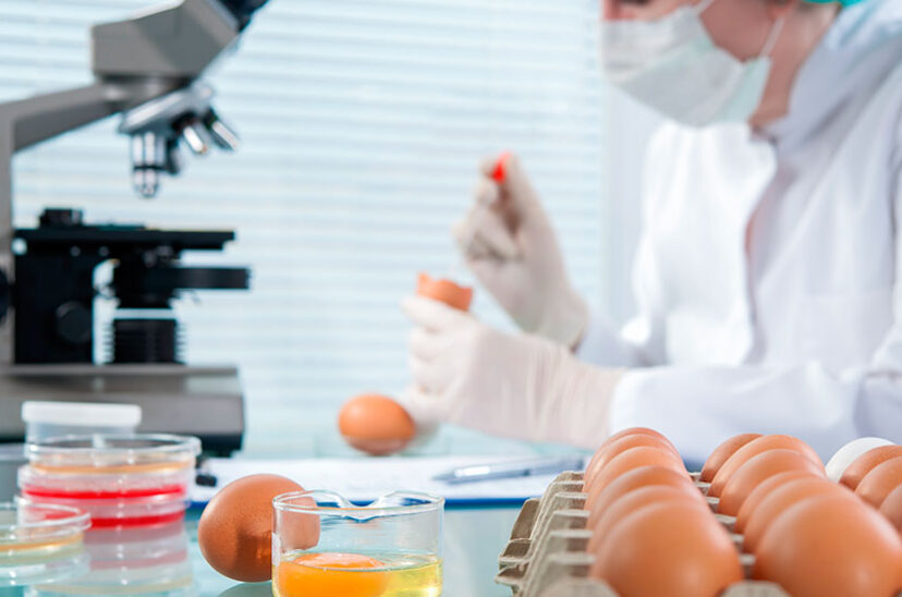 Protocolos de limpieza, el camino hacia la inocuidad