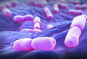 Prácticas para pruebas de Listeria