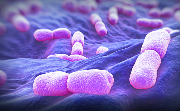 Prácticas para pruebas de Listeria