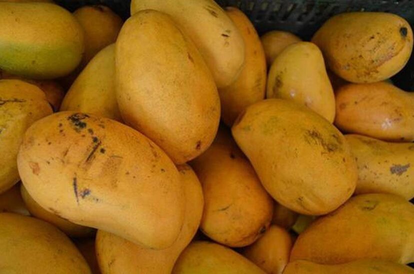 Mango, segundo producto más consumido