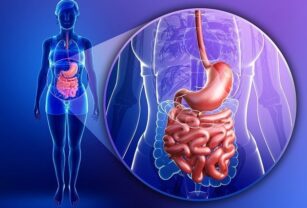 Una buena relación con la microbiota intestinal
