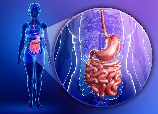 Una buena relación con la microbiota intestinal