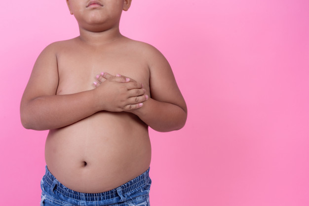 La OMS estima que al 2020 habrá aproximadamente 700 millones de personas con obesidad en Latinoamérica como resultado del alto consumo de comida rápida.