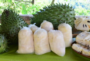 Buscan elaborar productos a base de pulpa de guanábana