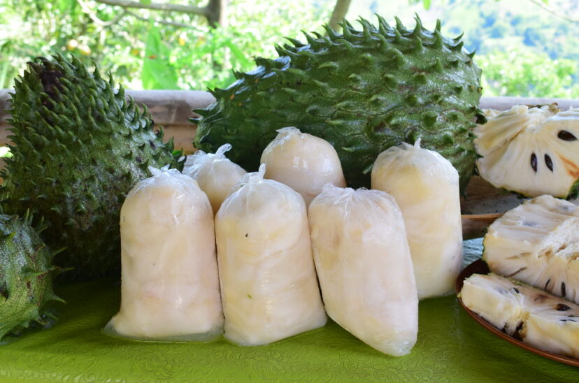 Buscan elaborar productos a base de pulpa de guanábana