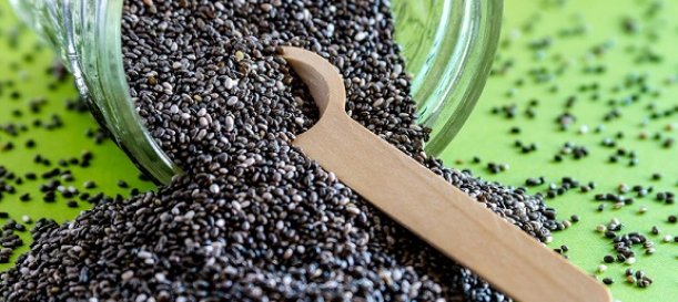 Semilla de chan, ingrediente altamente rentable