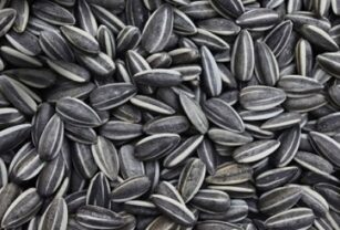 Semillas de girasol, aumento del valor nutricional