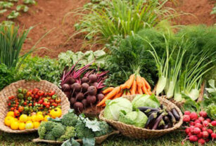 sostenibilidad-alimentaria